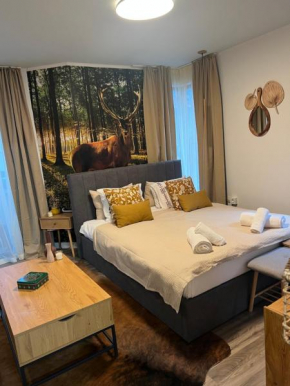 Luxury Studio in Hotel Friends SPA
